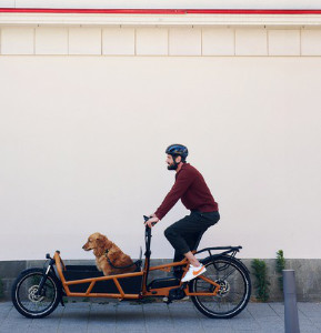 Cargobike mit Hund